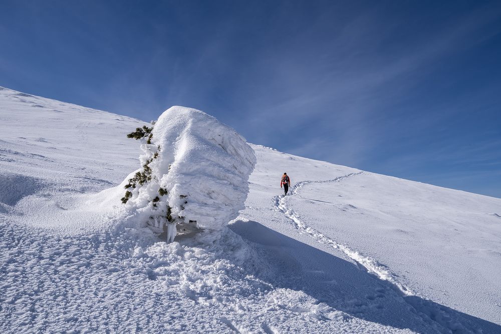 Photograph by Виктор Филипчук