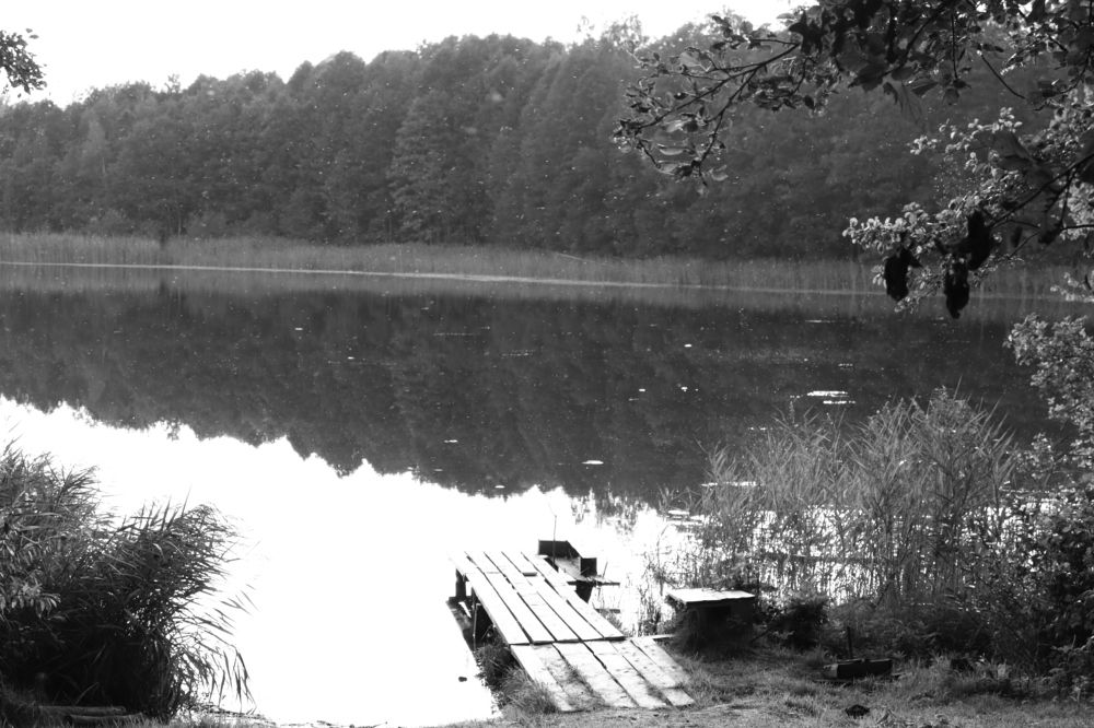 Photograph by Иван Скрипкин