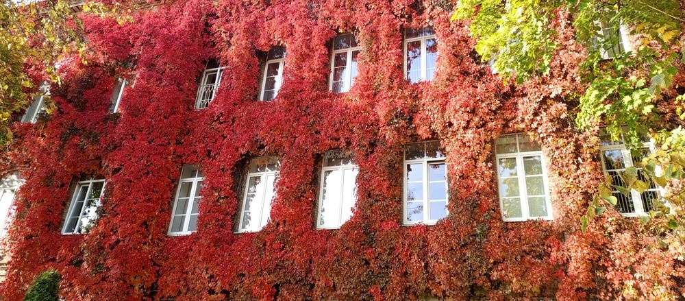 Photograph by Водовозов Александр