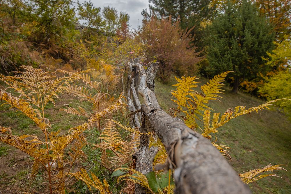 Photograph by Sajkovski Dejan