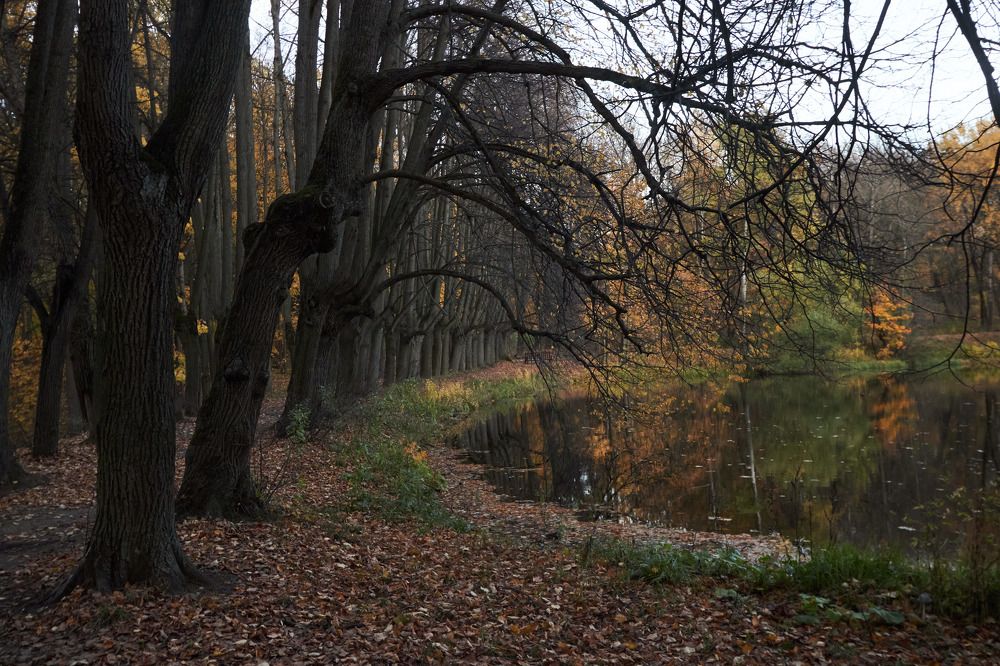 Photograph by Inna Tatarchenko