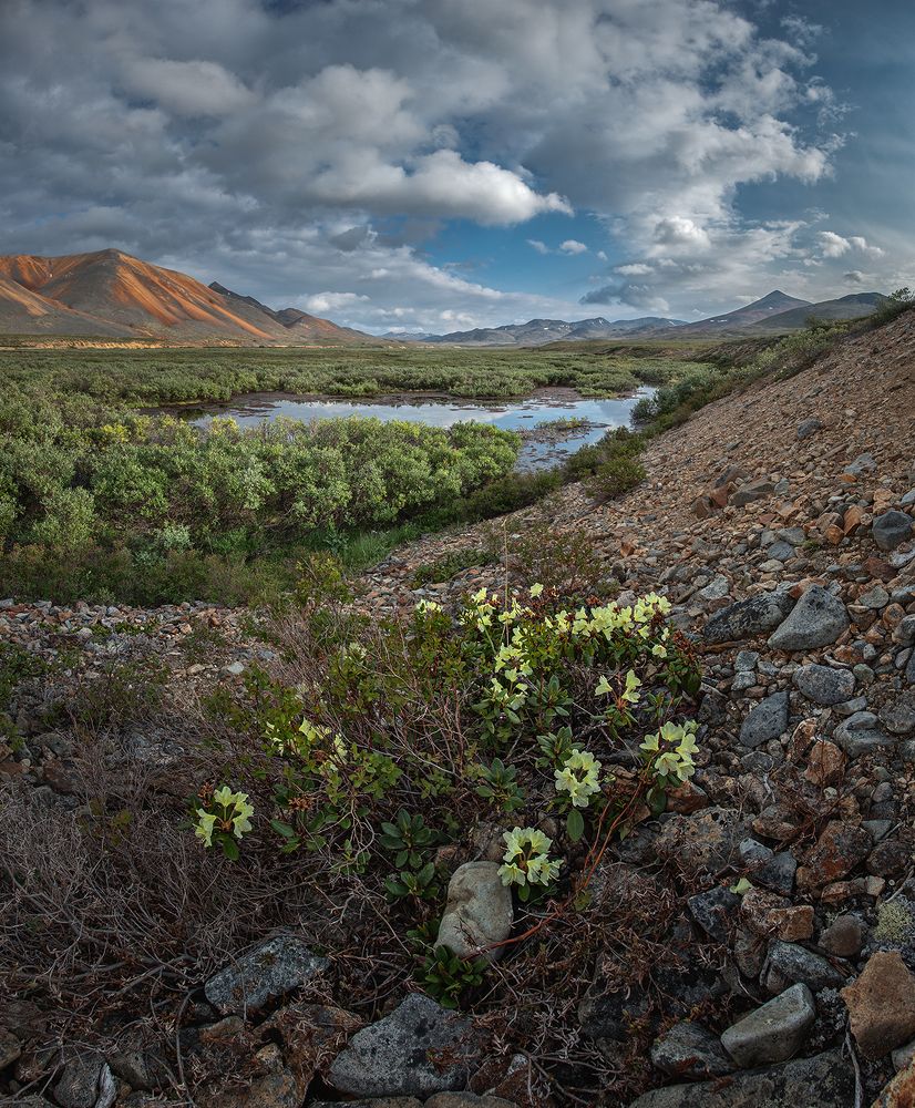 Photograph by Андреев Николай