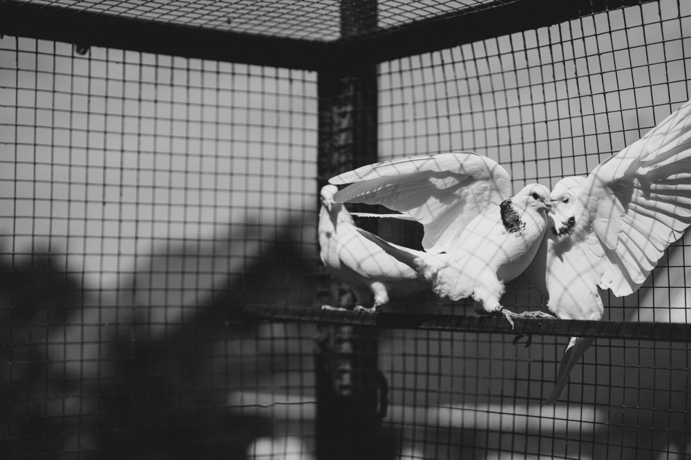 Photograph by Анастасия Исаичева