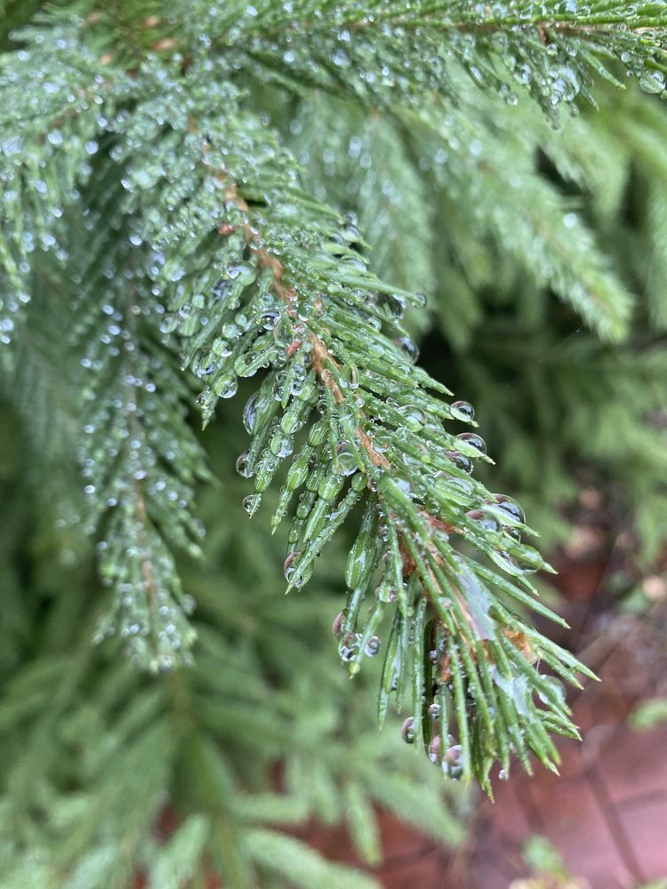 Photograph by Виктория Лаур