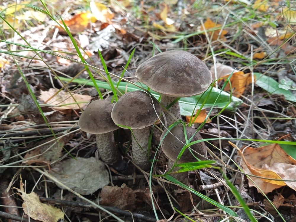 Photo #9570373
