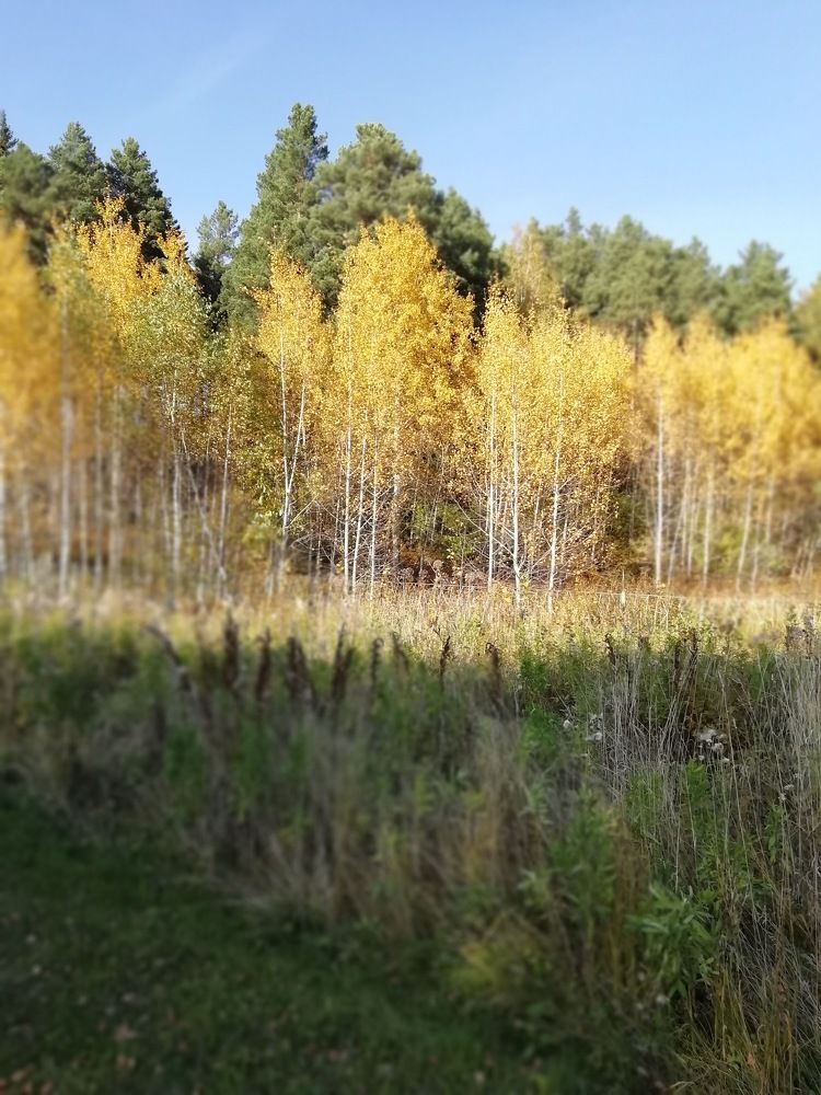 Photograph by Водовозов Александр