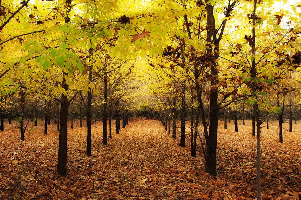 Photograph by mehdi karimi souderjani