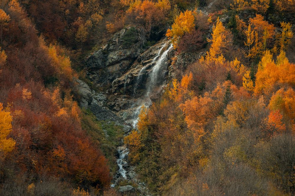 Photograph by Sergey Korshunov