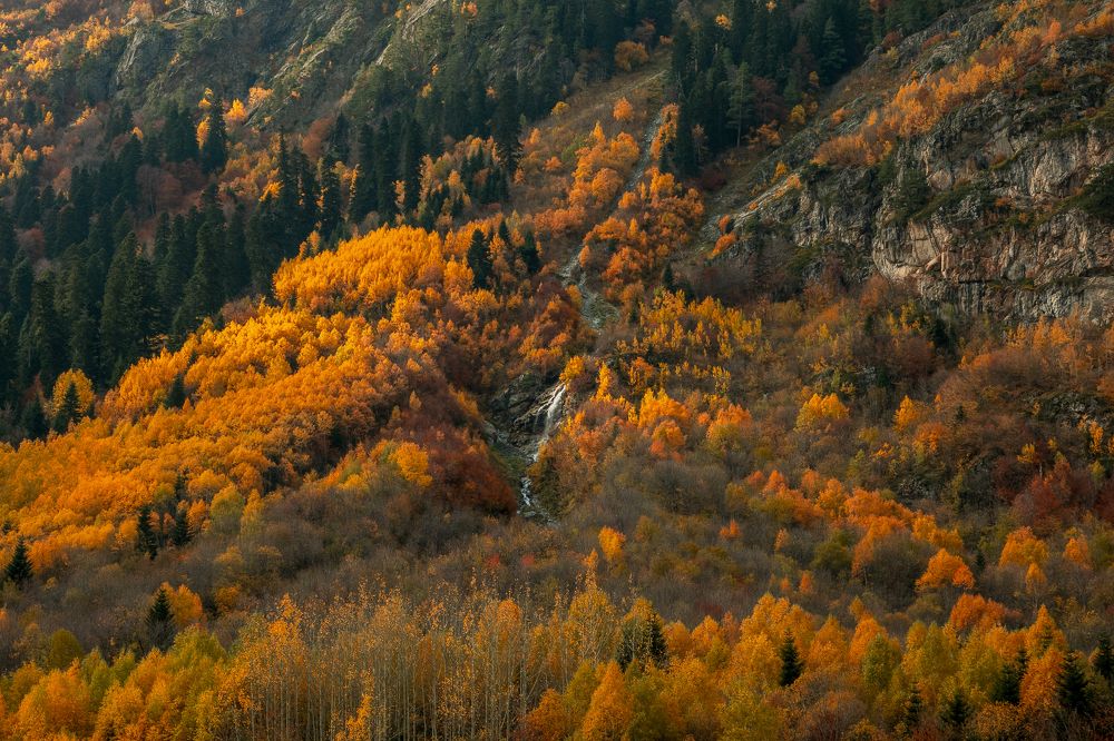 Photograph by Sergey Korshunov