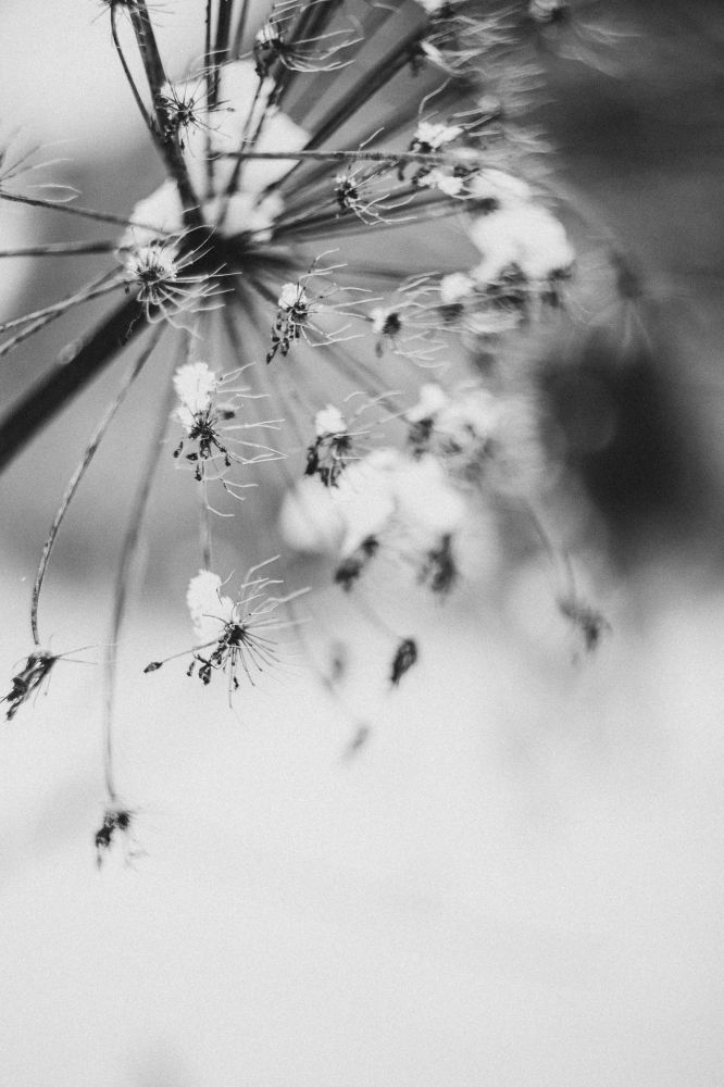 Photograph by Анастасия Исаичева