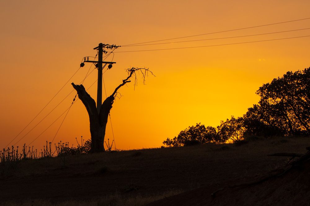 Photograph by sadegh alavi