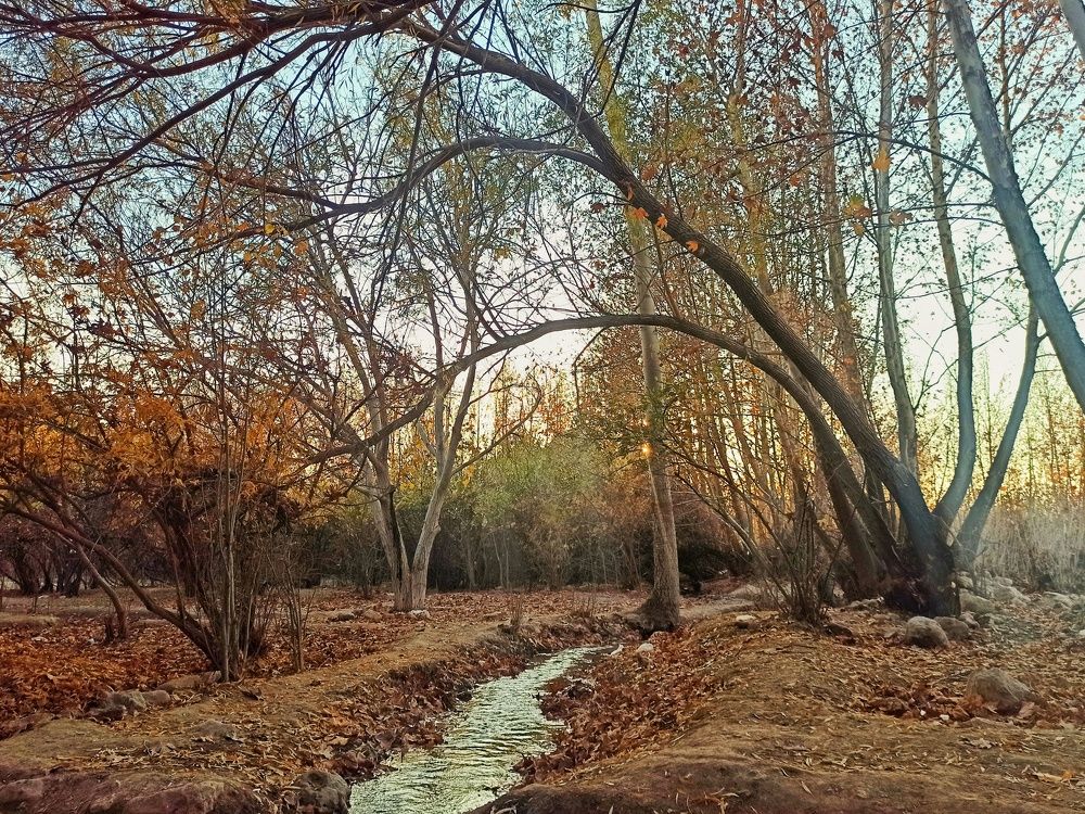 پاییز در تنگ کرم استان فارس