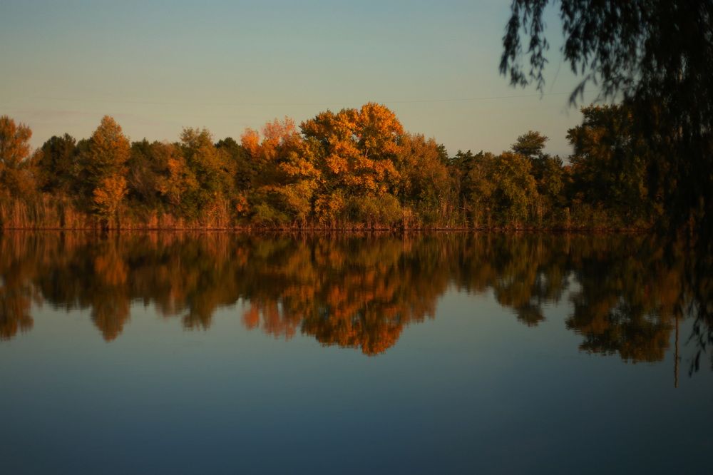 Фотография автора Ирина Якущенко