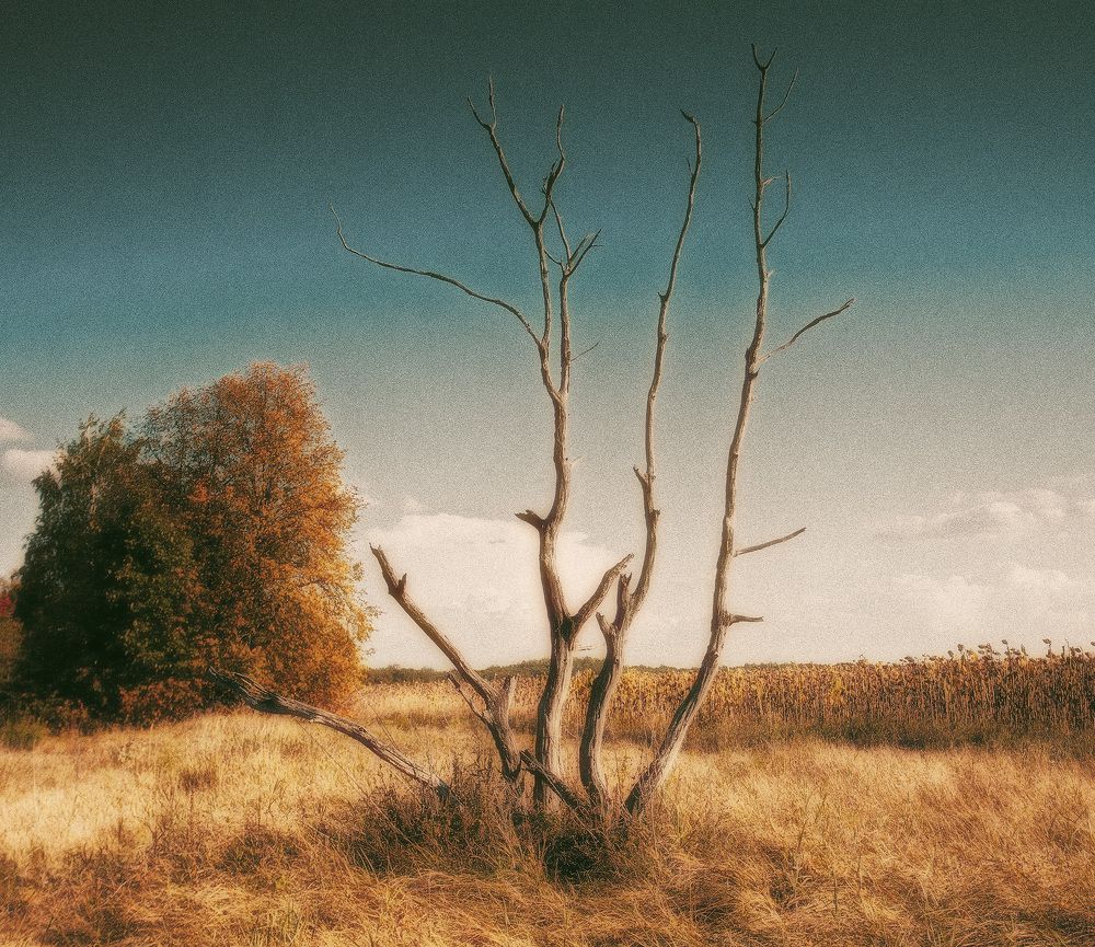 Осеннее одиночество...