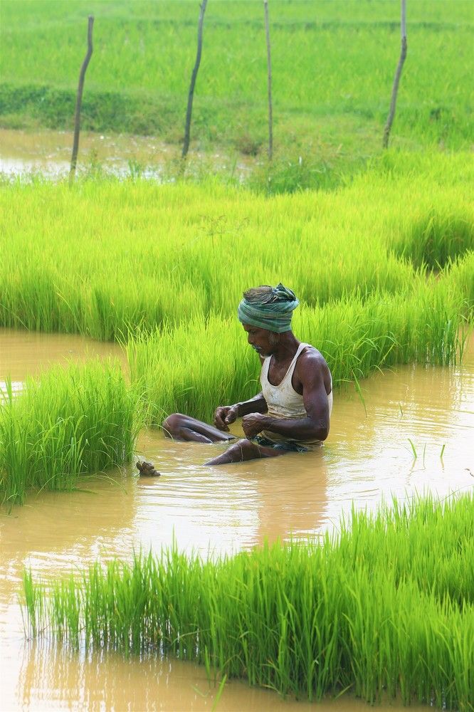 Фотография автора Atul Robin Hans