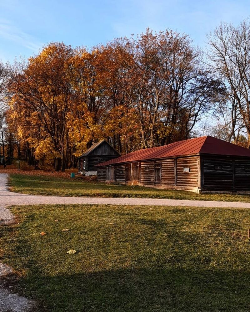 Осень в Ясной Поляне