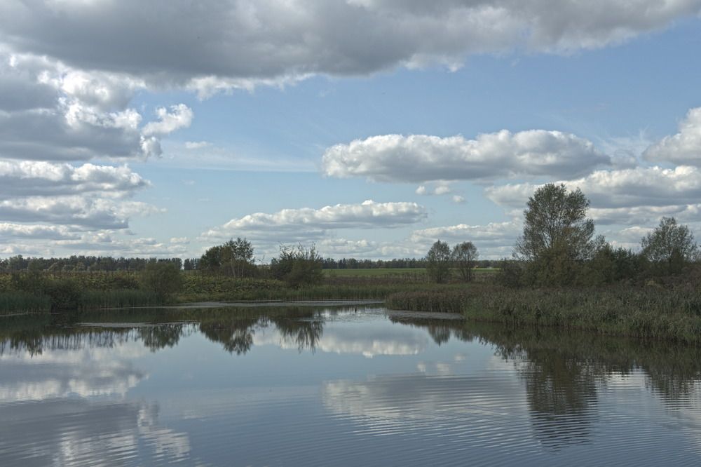 Фотография автора Бронислав Краснер