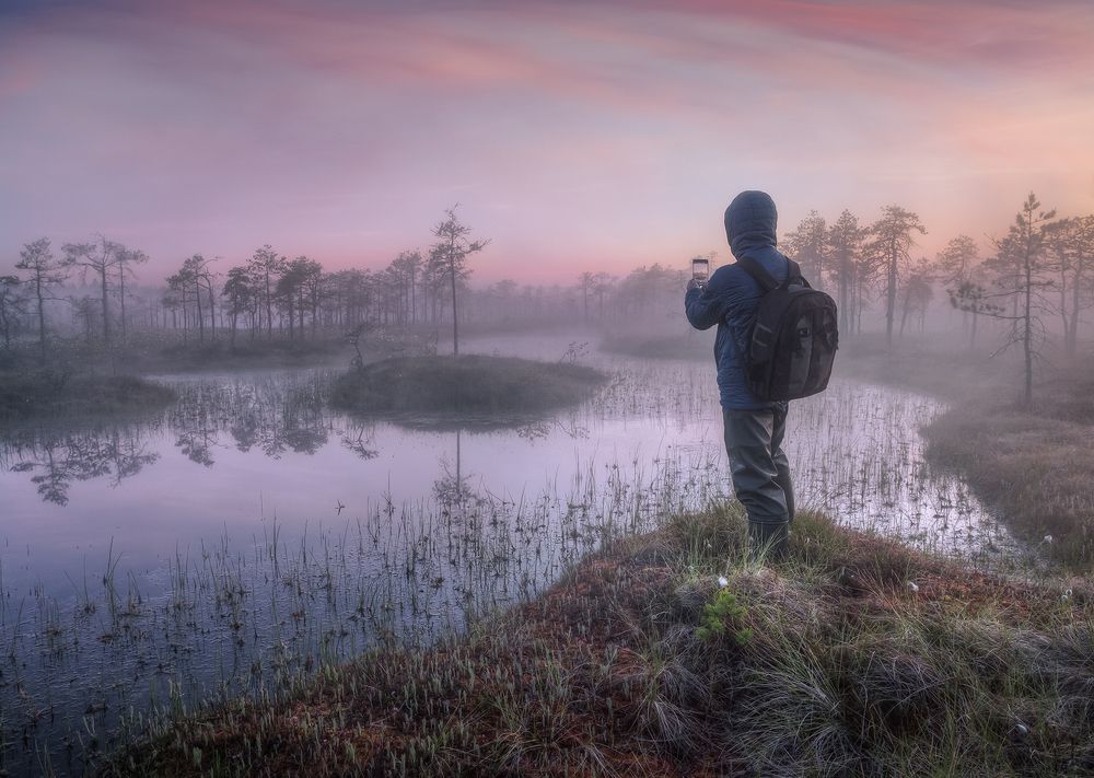 Болотное утро...