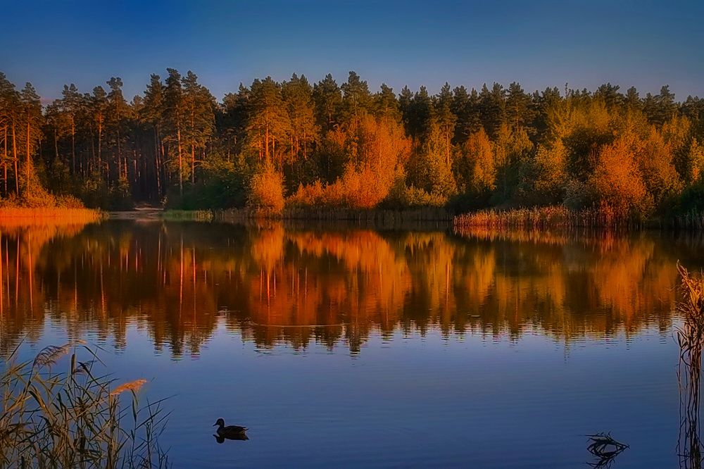 Photograph by Татьяна Бравая