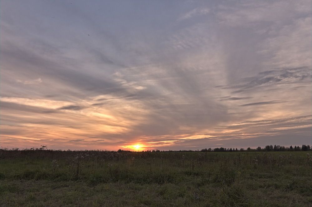 Фотография автора Бронислав Краснер
