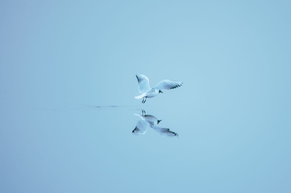 Photograph by Sergey Korshunov