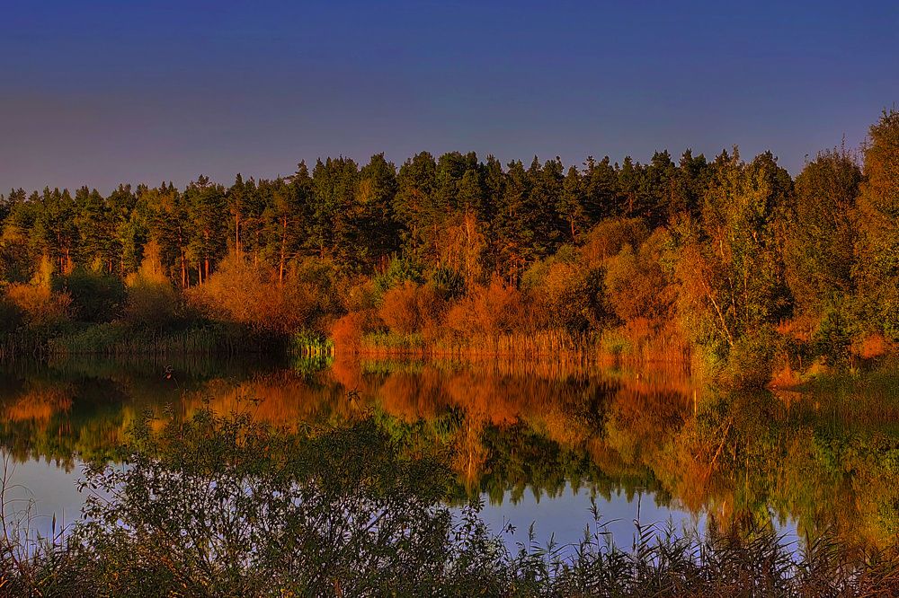 Photograph by Татьяна Бравая