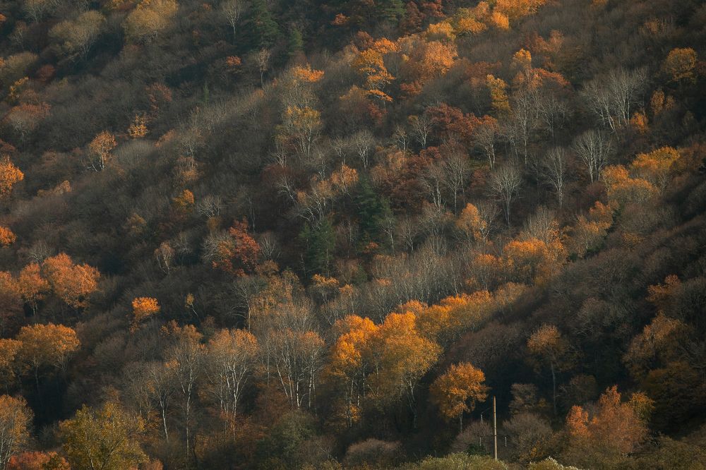 Photograph by Sergey Korshunov