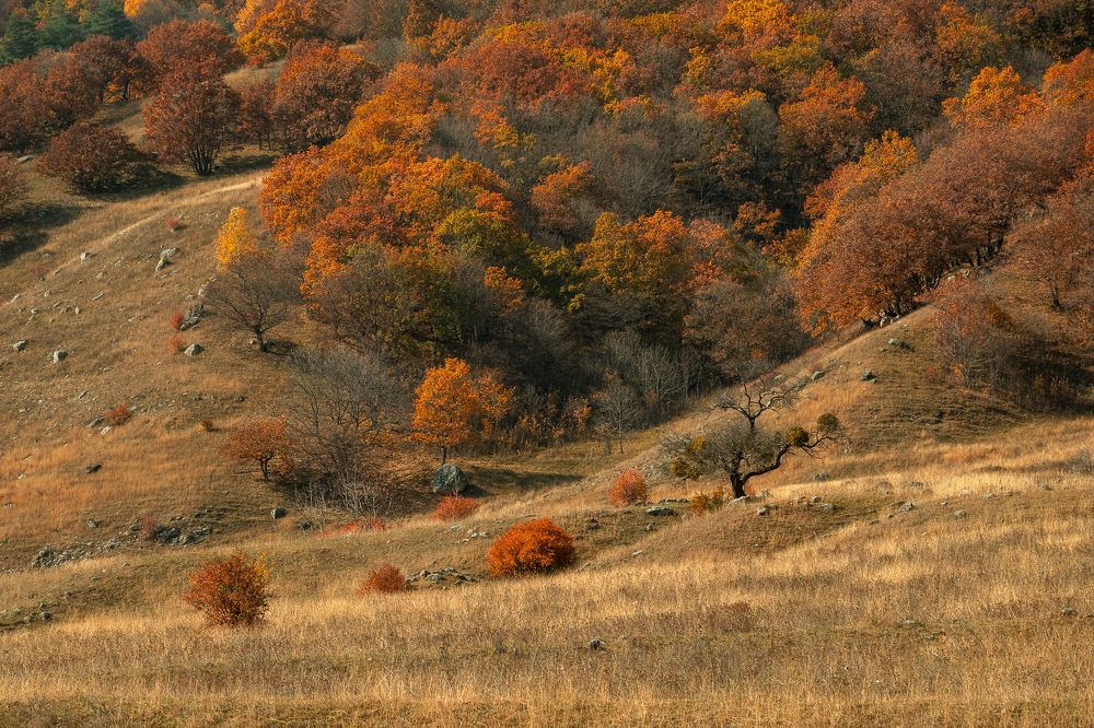 Photograph by Sergey Korshunov
