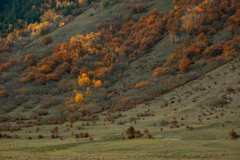 Photograph by Sergey Korshunov