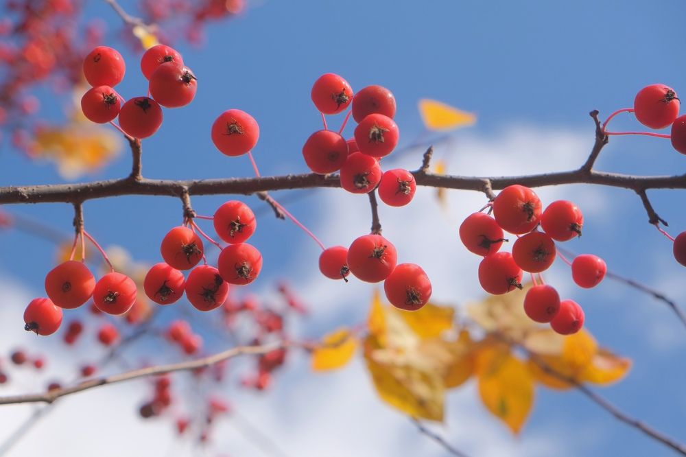 Photograph by Наталия Питолина