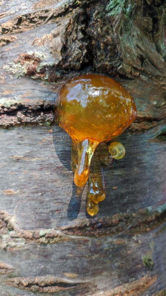 Photograph by Марийона Савоненко