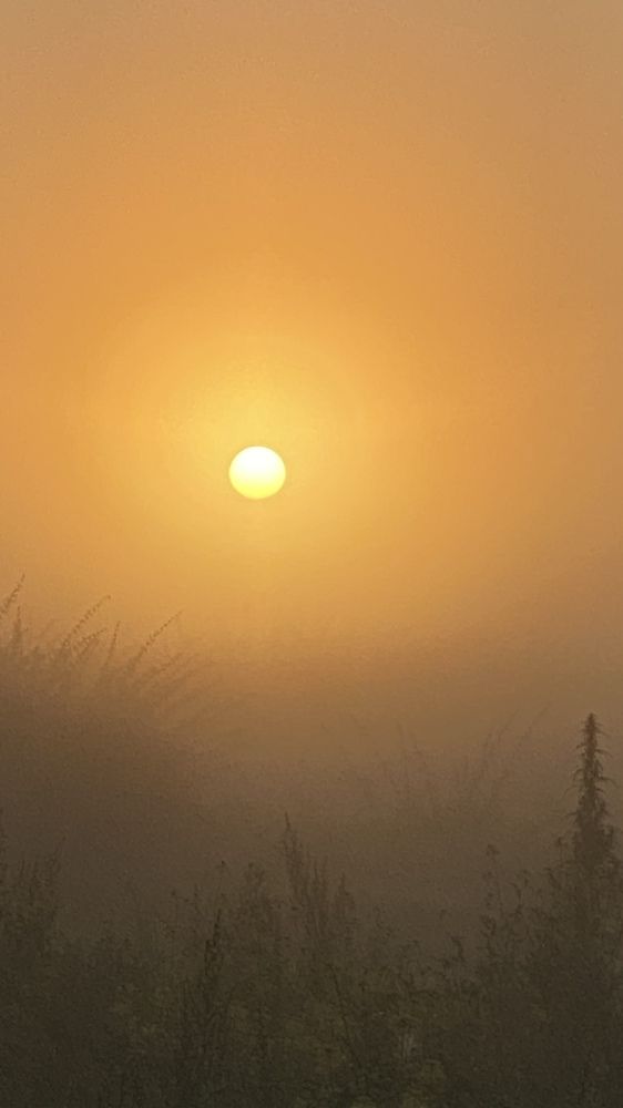 Photograph by Елена К