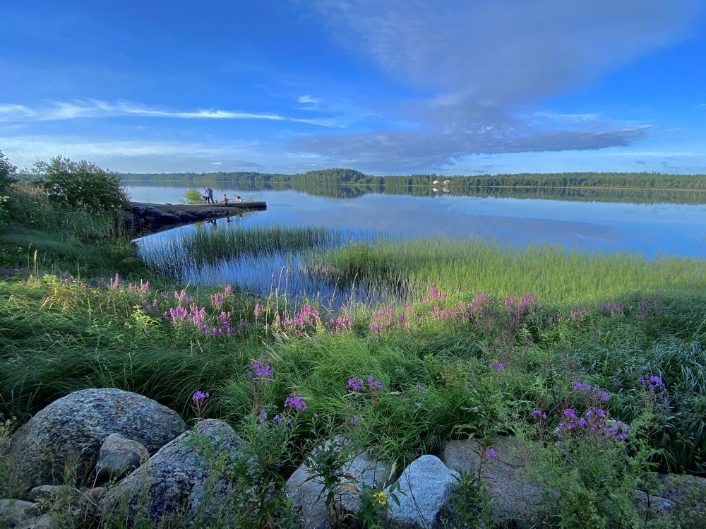 Фотография автора Olga Alekseeva