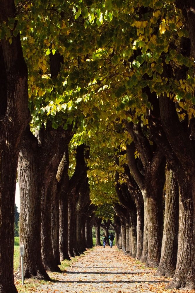 Photograph by SIMONE CIULLI