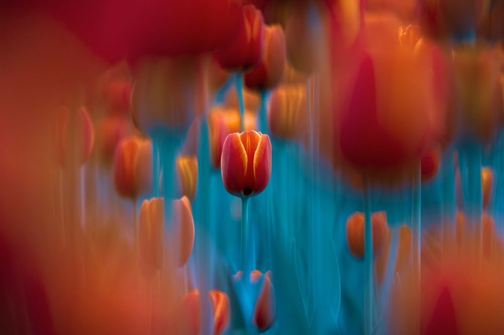 Photograph by Sergey Korshunov