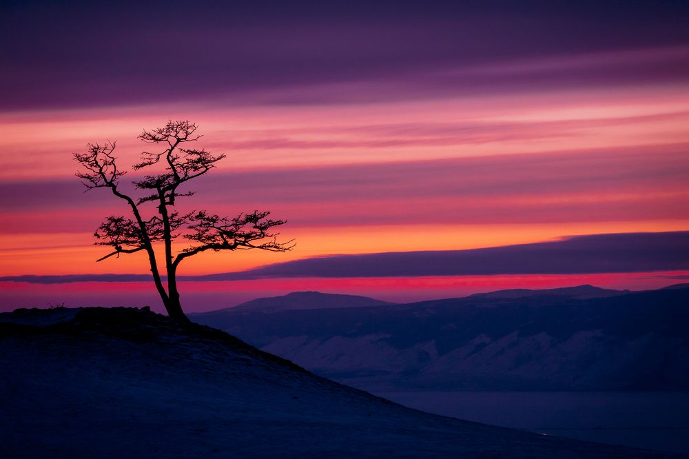 Photograph by Sergey Korshunov