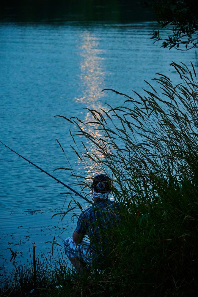 Фотография автора Александр Жданов