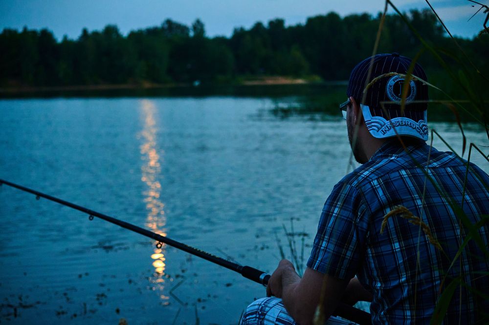 Фотография автора Александр Жданов