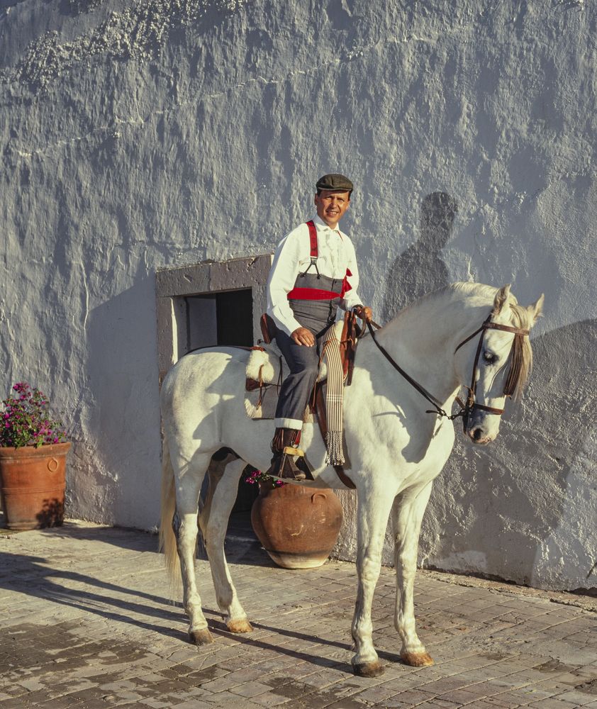 Photograph by gustavo gatto