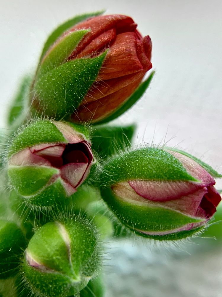 Photograph by Елена Макуха