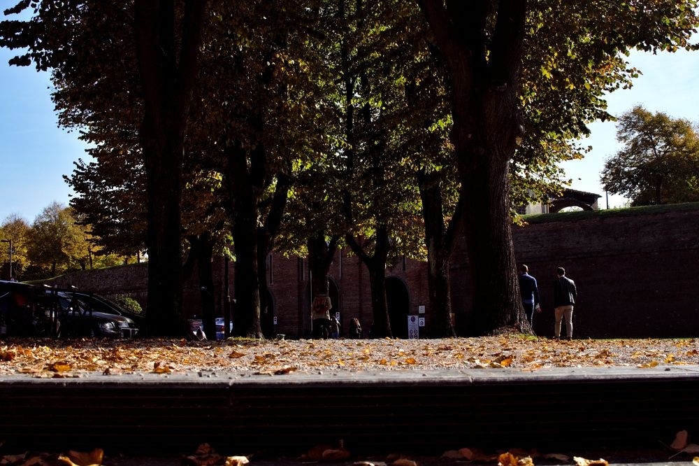 Photograph by SIMONE CIULLI