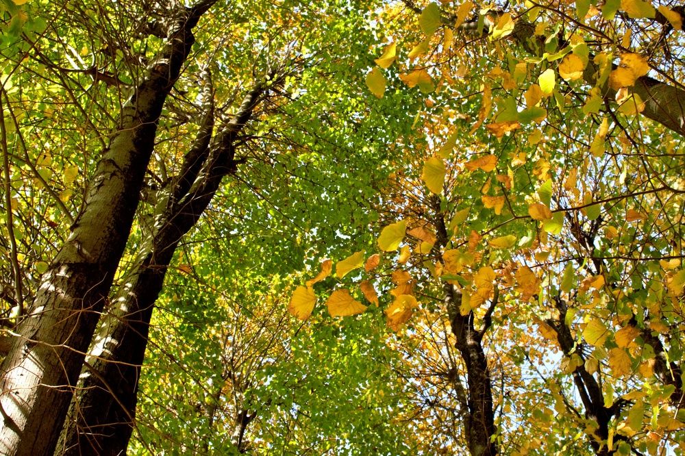 Photograph by SIMONE CIULLI