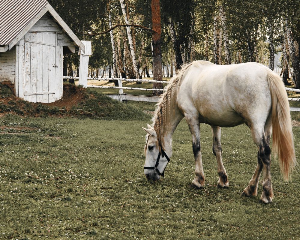 Photograph by Жанна Захарченко