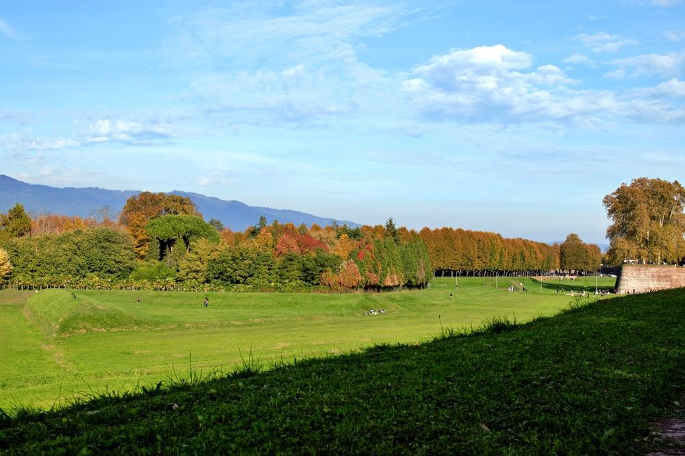 Photograph by SIMONE CIULLI