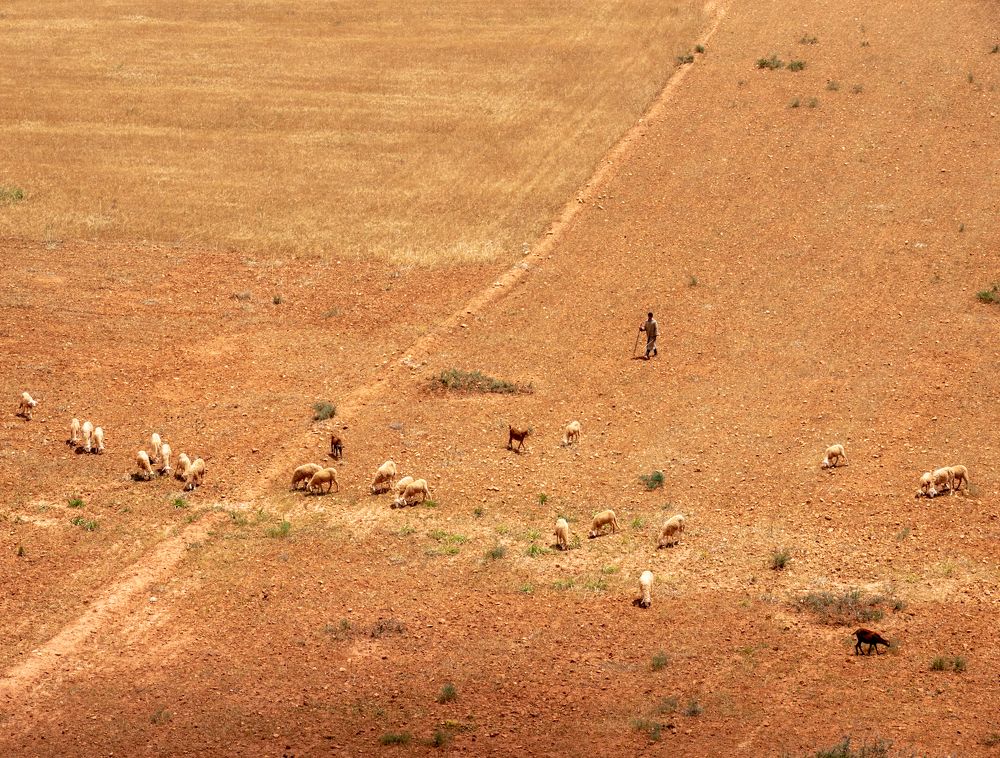 Photograph by Sergey Korshunov