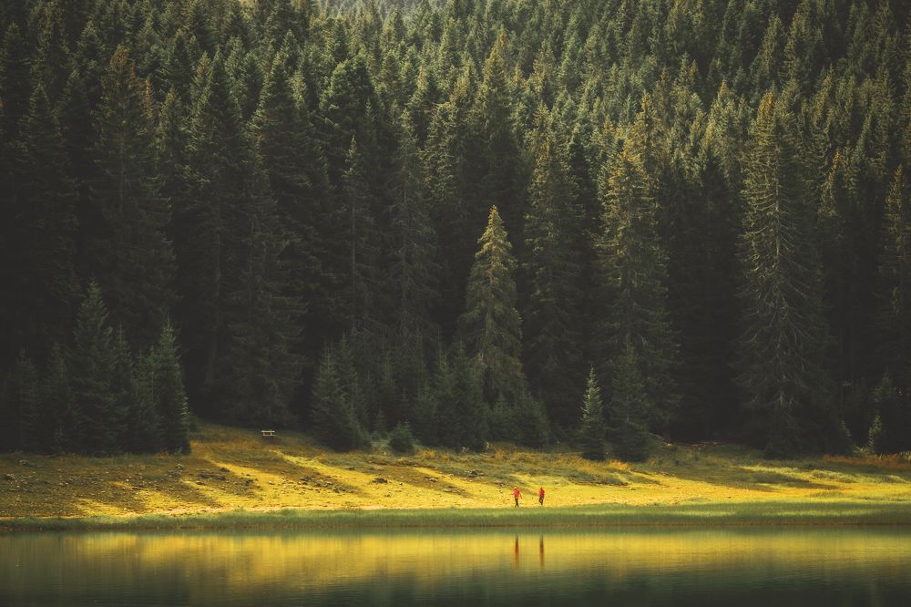 Photograph by Sergey Korshunov