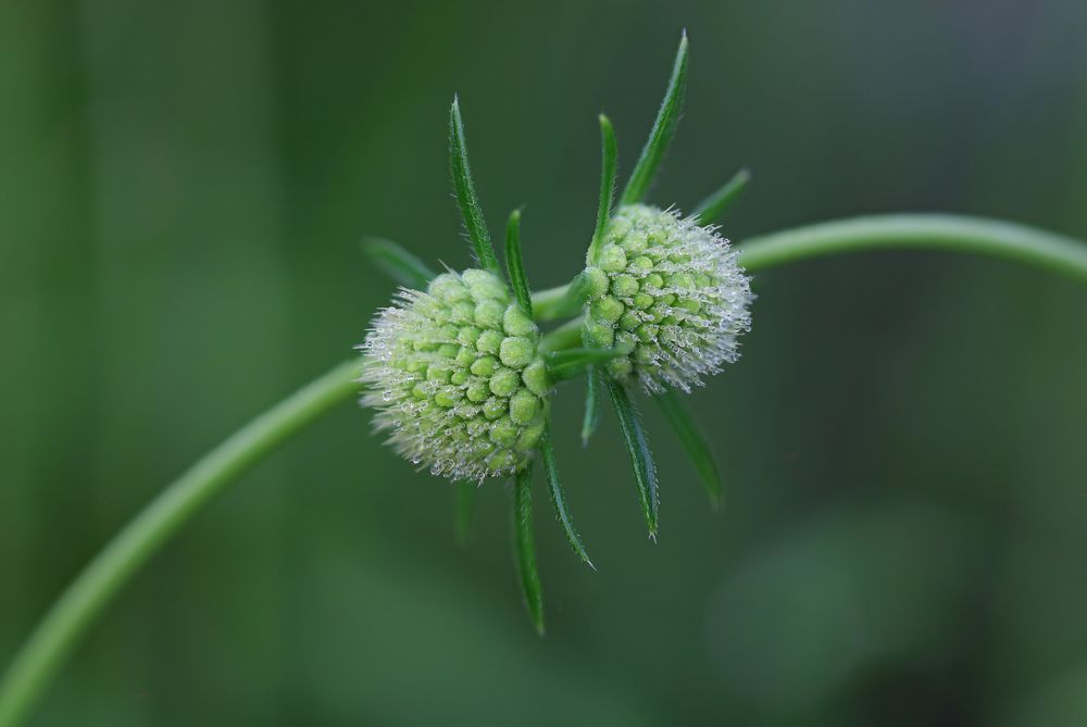 Photograph by Надежда Зайцева