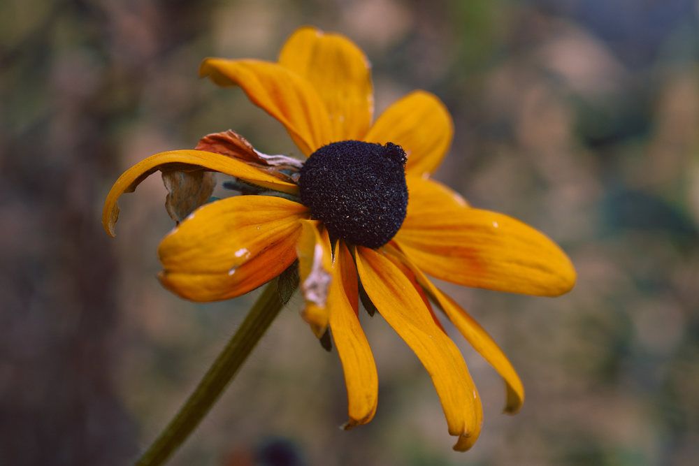 Photograph by Дмитрий Солодухин