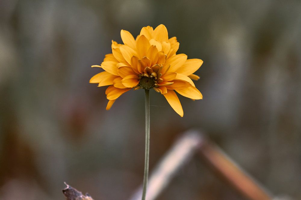 Photograph by Дмитрий Солодухин