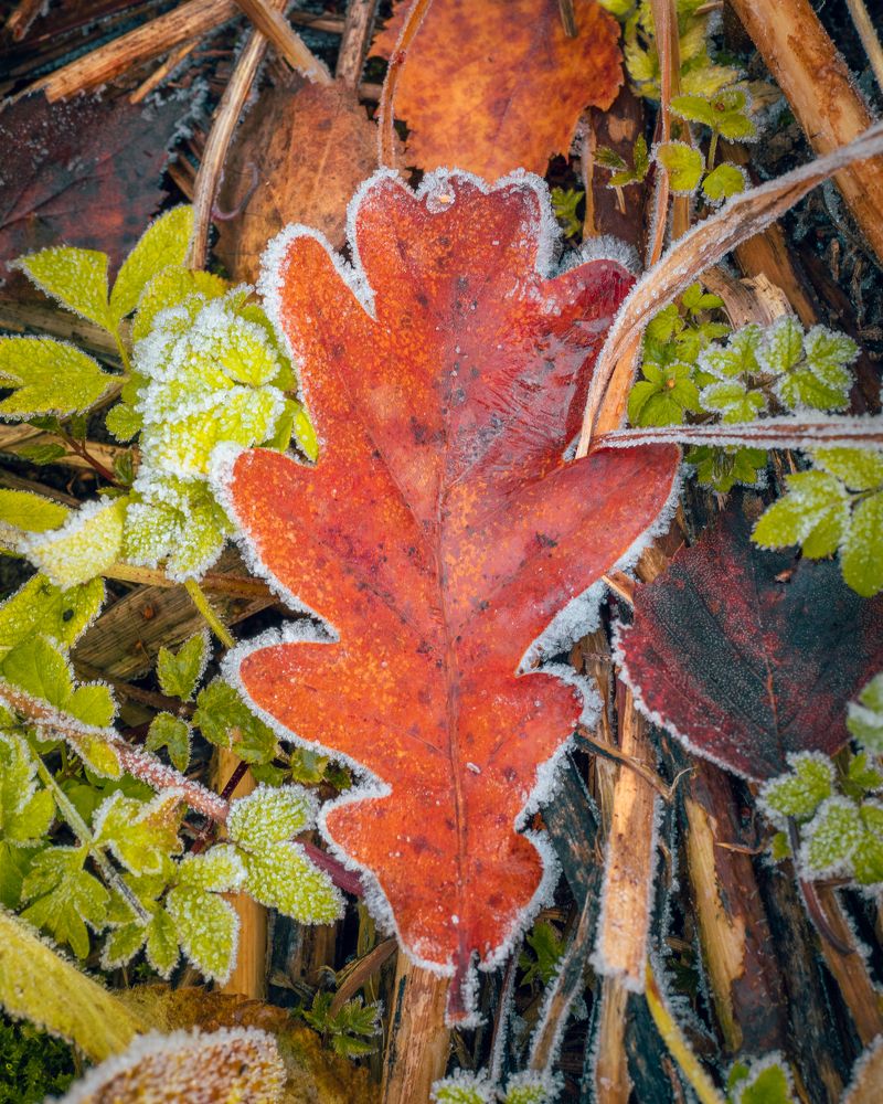 Photograph by Ярослав Изотов